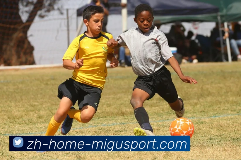 多媒体互动体验